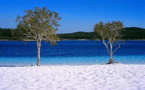 Fraser Island Beach / Queensland / Australia // World Beach Guide