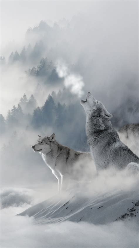 Wolf Wallpaper for iPhone (72+ images)
