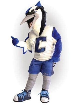 Billy Bluejay is the mascot for Creighton University. The blue jay was ...