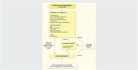 Algorithm for the diagnosis of heart failure in the non-acute setting ...