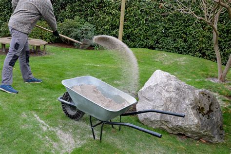 Top Dressing a Lawn: How to Do It and Its Benefits | WorkWave