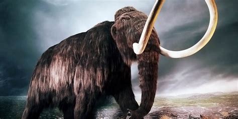 Mammoth (Mammuthus) – a prehistoric elephant | DinoAnimals.com