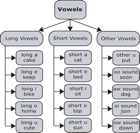 Learn How to Pronounce the 15 Vowel Sounds of American English — Pronuncian: American English ...
