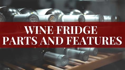 Wine Fridge Parts and Features