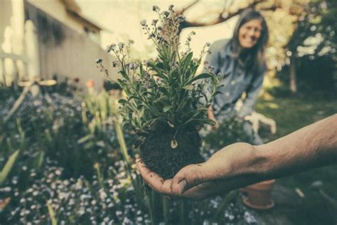 The Value of Gardening as a Hobby | Greener Ideal