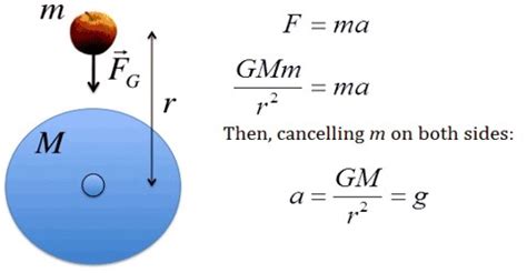 Gravitational Acceleration On Earth Formula - The Earth Images Revimage.Org