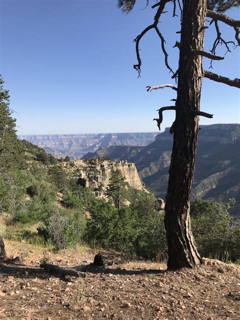 Protecting the Kaibab Plateau Ancient Forest and Larger Grand Staircase ...