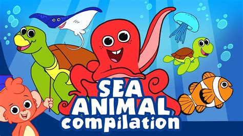 Learn Sea Animals for Kids | Ocean animal cartoon compilation | Club Baboo - YouTube