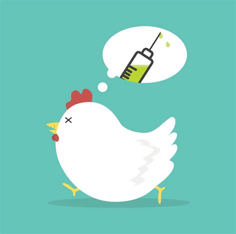 Sick chicken thinking about the vaccine 1886405 Vector Art at Vecteezy