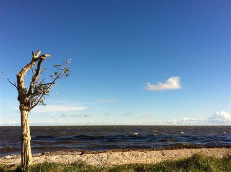 Ijsselmeer | Fotografie