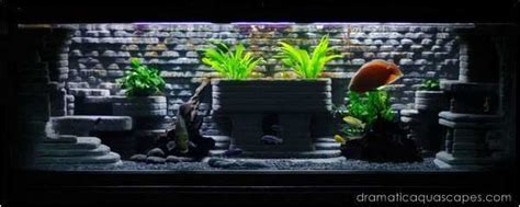 9 DIY Aquarium Backgrounds You Can Start Today - Learn How