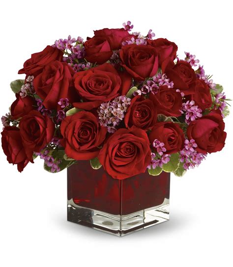 Never Let Go by Teleflora - 18 Red Roses in Cottleville, MO | The ...