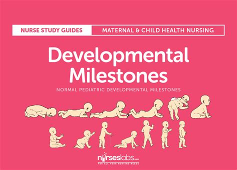 Developmental Milestones: Nursing Study Guide