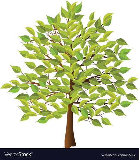 Summer tree Royalty Free Vector Image - VectorStock