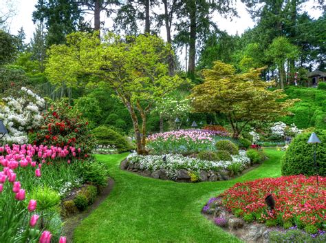 Butchart Gardens near Victoria BC | Botanical gardens near me, Butchart ...