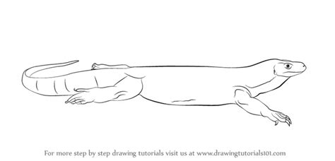 How to Draw a Komodo Dragon (Reptiles) Step by Step | DrawingTutorials101.com