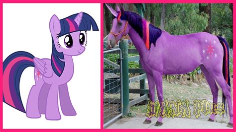 My Little Pony All Characters IN REAL LIFE @WANA Plus | k plus logo – Webgiasi.vn – Siêu thị bán ...