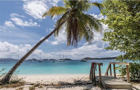 Why Bikinis is the Best Beach Bar on St John Caribbean Journal