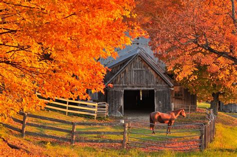 First Light - New England Today | Autumn scenery, Fall pictures, Scenery