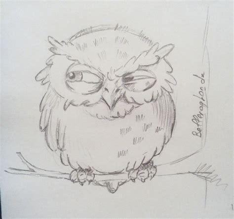 Сова карандашом owl in pencil | Рисунок совы, Рисунки, Рисунки животных