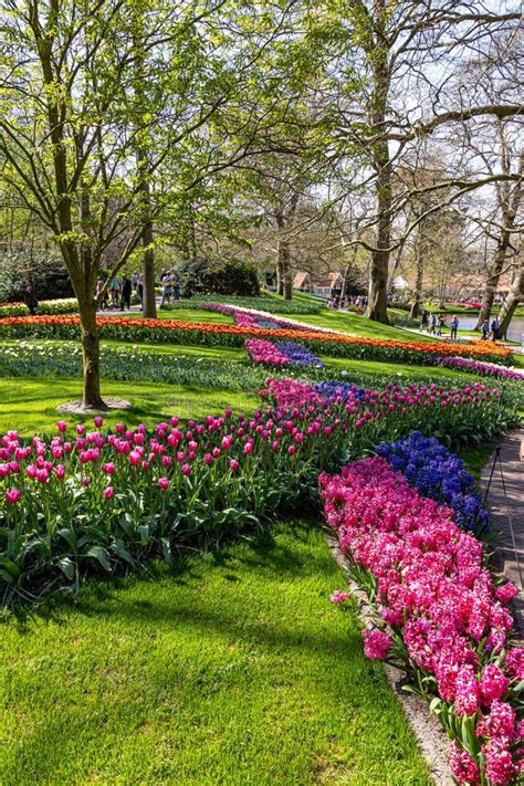 Lisse Netherlands. the Keukenhof Spring Garden in Lisse is One of the ...