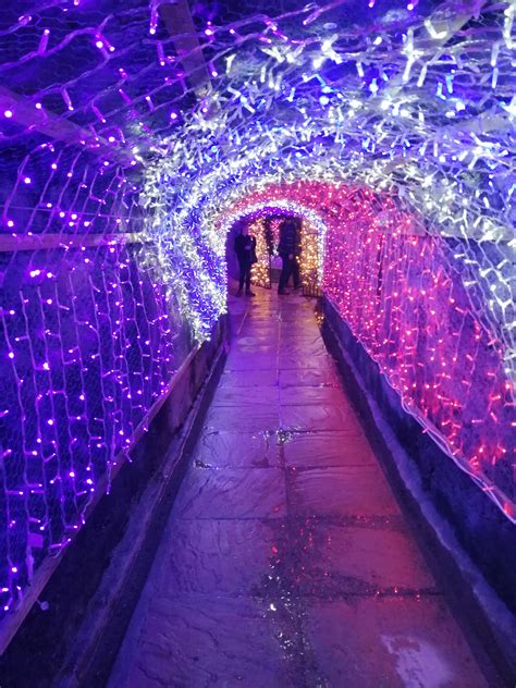 Tunnel of Christmas lights : r/christmas