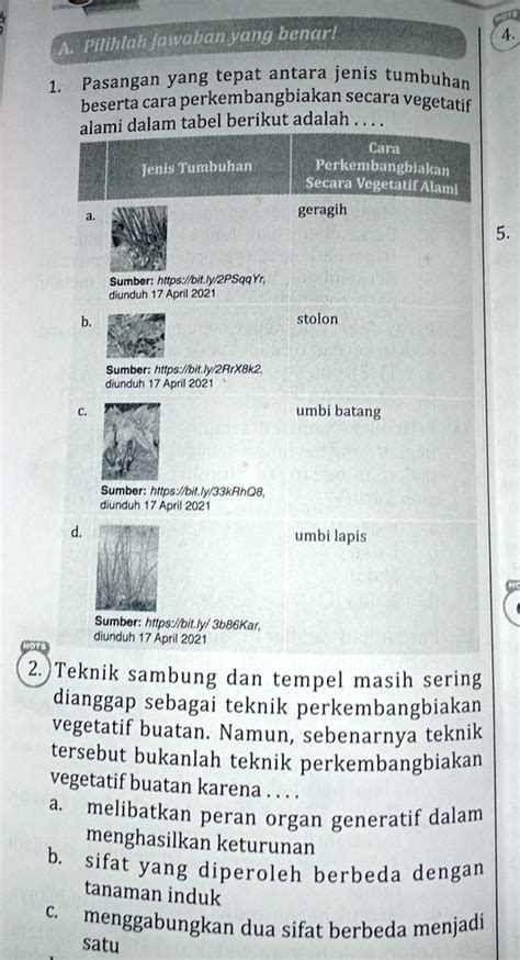 SOLVED: pasangan yang tepat antara jenis tumbuhan beserta cara ...