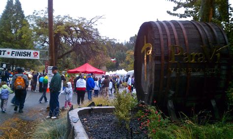 make a run for it: Apple Hill Harvest Run (Race Report)