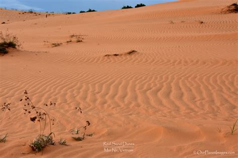 Sand Dunes at Mui Ne, Vietnam