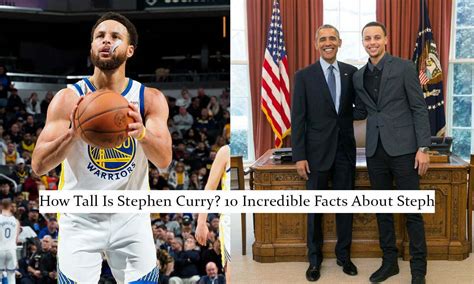 Stephen Curry Height In Feet And Inches Tall - Sella Felisha