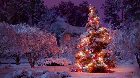 Christmas Tree Wallpapers HD (71+ images)