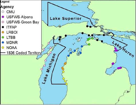 Water test: One fish, two fish – where are all the whitefish? - Spartan Newsroom