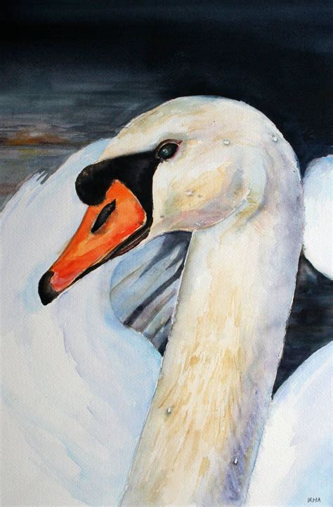 Art watercolor swan close-up white Made by IrmaTroostVogel | Painting, Watercolor, Sketches