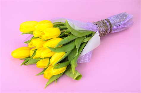 Bouquet of fresh yellow tulips. Studio Photo. 4612617 Stock Photo at ...