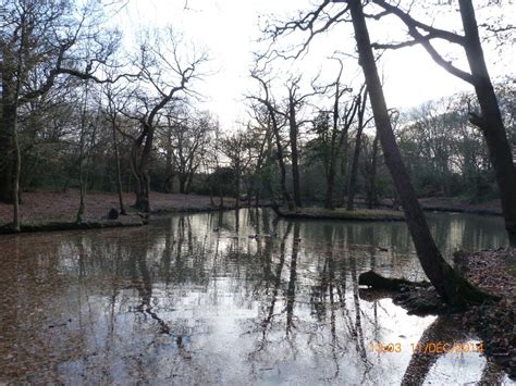 Highams Park Lake Dam Works update from the City Corporation – 12th ...