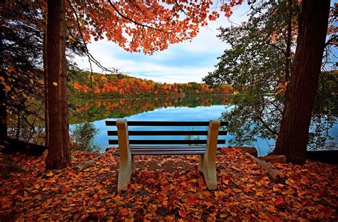 3840x2400 bench, autumn, river UHD 4K 3840x2400 Resolution Wallpaper ...