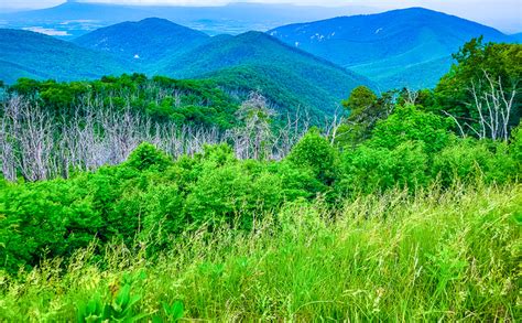 Highlights Of The Spectacular Skyline Drive In Virginia