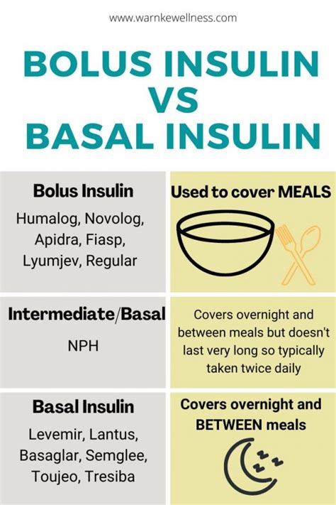 Fast-Acting Insulin 101: 7 Things You Need to Know