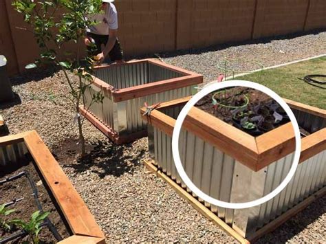 DIY Raised Garden Beds | Metal garden beds, Diy raised garden, Raised ...