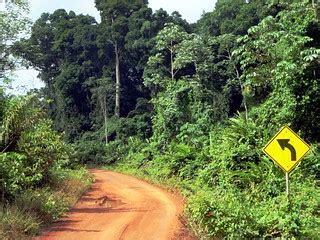 Linden-Lethem Road | The Linden-Lethem Road connects Georget… | Flickr