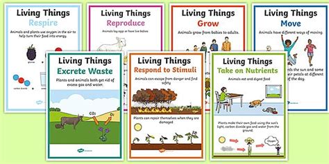 A set of posters detailing the seven characteristics of living things ...