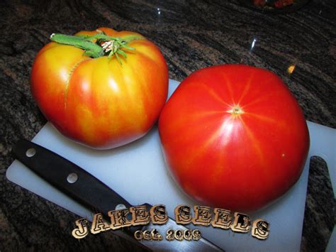 Hillbilly Heirloom Tomato - Jake's Seeds