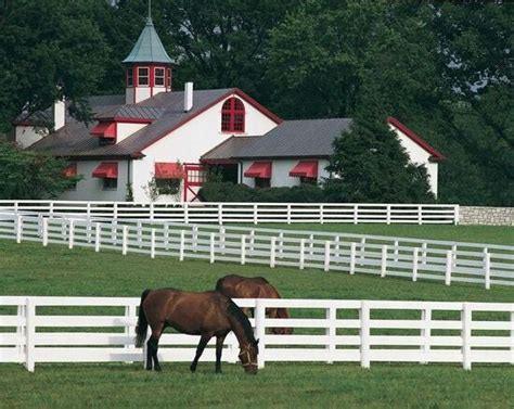 Horse barn. | Kentucky horse farms, Kentucky horse park, Calumet farm