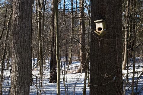 Birdhouse | Fyfeshire Conservation Area, Bolton MA | Adam Rose | Flickr