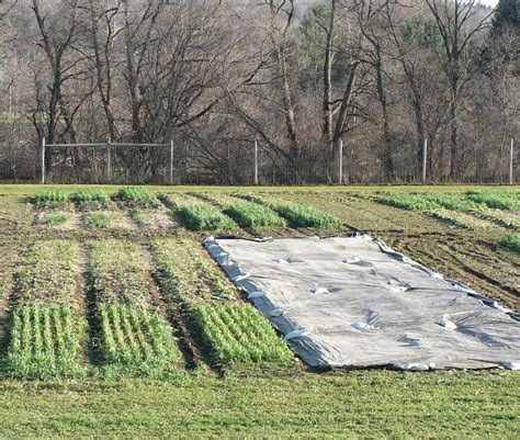 Black Gardening Tarp | Fasci Garden