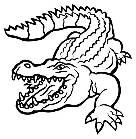 Crocodile Animasi Crocodile Buaya Animasi Png And Vec - vrogue.co