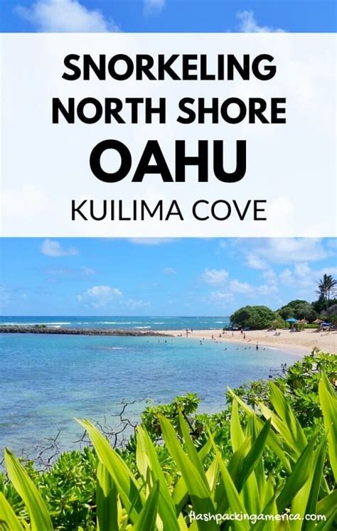 Kuilima Cove snorkeling 🐠 Turtle Bay Resort beach with beginner-friendly beach on North Shore ...