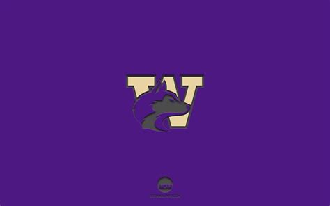 Download wallpapers Washington Huskies, purple background, American ...