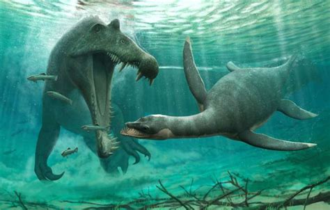 Plesiosaur fossils found in the Sahara suggest they weren't just marine ...