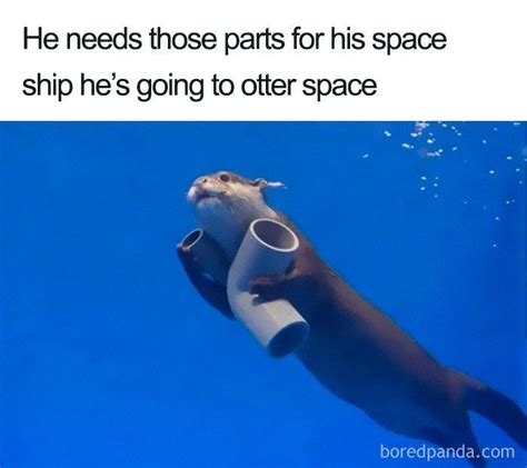 50 Hilarious Space Memes That You Don't Have To Be An Astronomer To ...